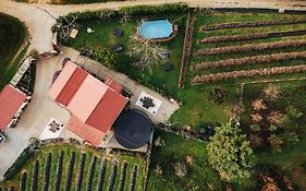 Quinta Vale Salgueiro