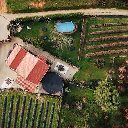 Quinta Vale Salgueiro Apartamento Seia Exterior foto