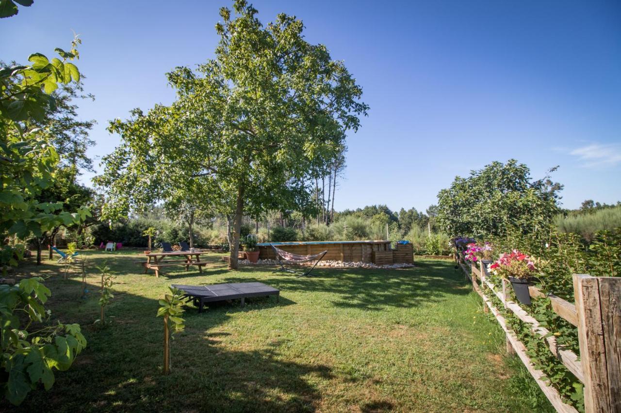 Quinta Vale Salgueiro Apartamento Seia Exterior foto