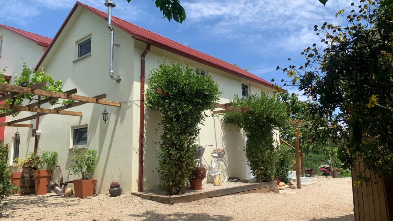 Quinta Vale Salgueiro Apartamento Seia Exterior foto