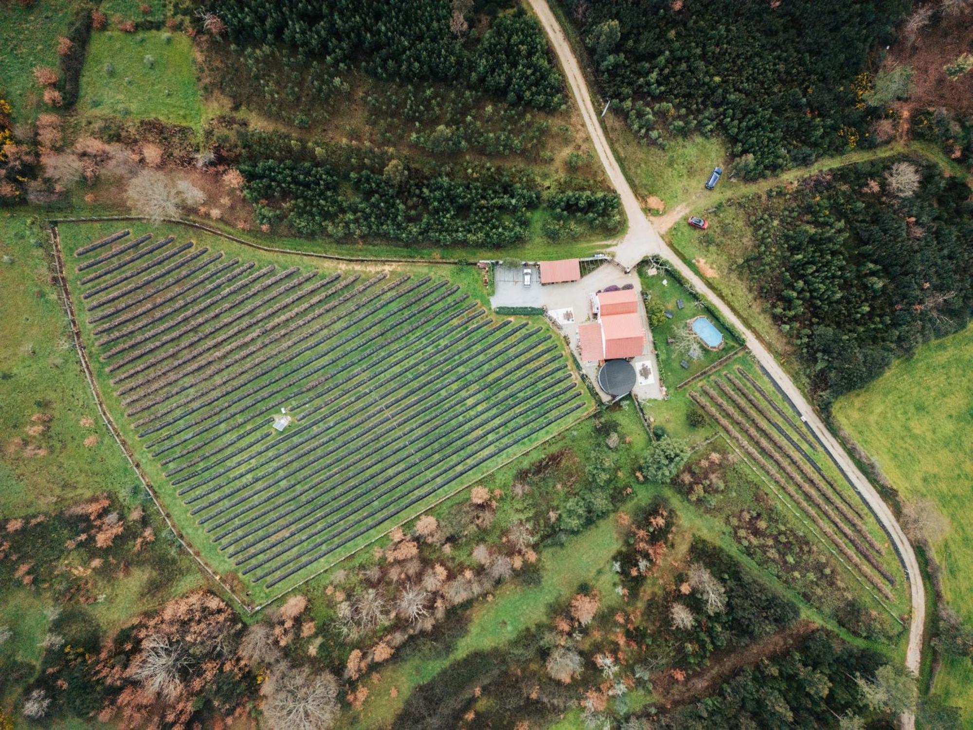 Quinta Vale Salgueiro Apartamento Seia Exterior foto